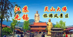 可以看白虎屄的网站江苏无锡灵山大佛旅游风景区